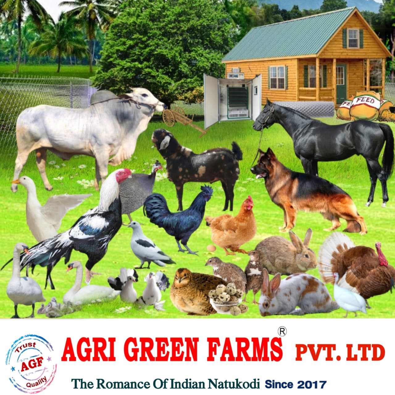 Agri Green Farms